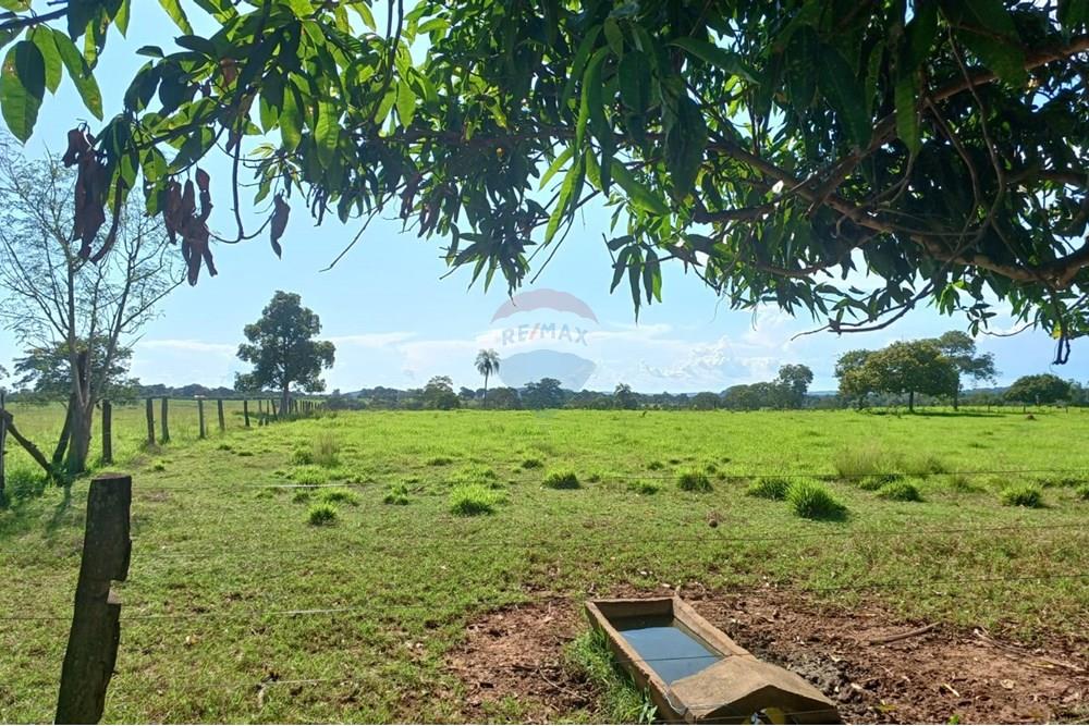 Chácara / Sítio / Fazenda - Venda - São José do Povo , Mato Grosso - WhatsApp Image 2025-04-03 at 17.01.47 (2).jpeg - 722261017-2