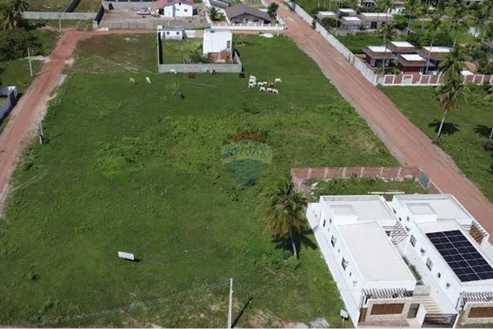 Terreno - Venda - São Miguel do Gostoso , Rio Grande do Norte - Imagem do WhatsApp de 2025-01-13 à(s) 00.05.46_0f3e26c8.jpg - 720891024-166