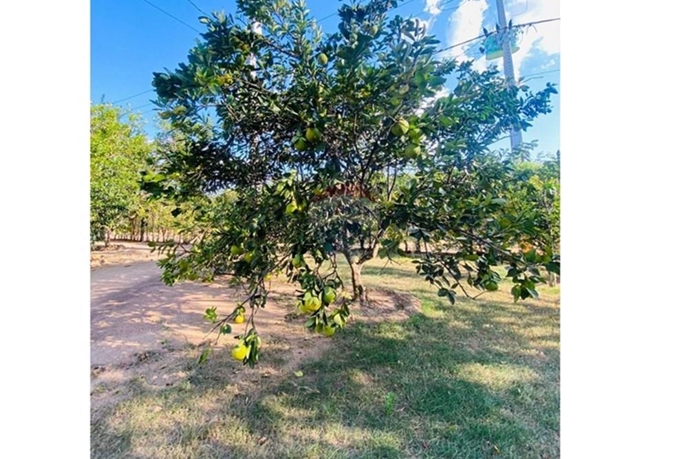 Chácara / Sítio / Fazenda - Venda - Parauapebas , Pará - IMG-20250908-WA0130.jpg - 722021013-13