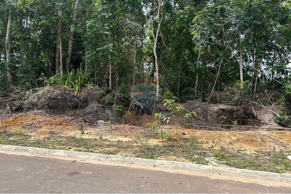 Terreno - Venda - Manaus , Amazonas - WhatsApp Image 2024-12-20 at 12.00.12.jpeg - 720721025-36