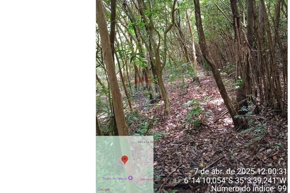 Terreno - Venda - Tibau do Sul , Rio Grande do Norte - Gustavo14.jpeg - 720891150-75