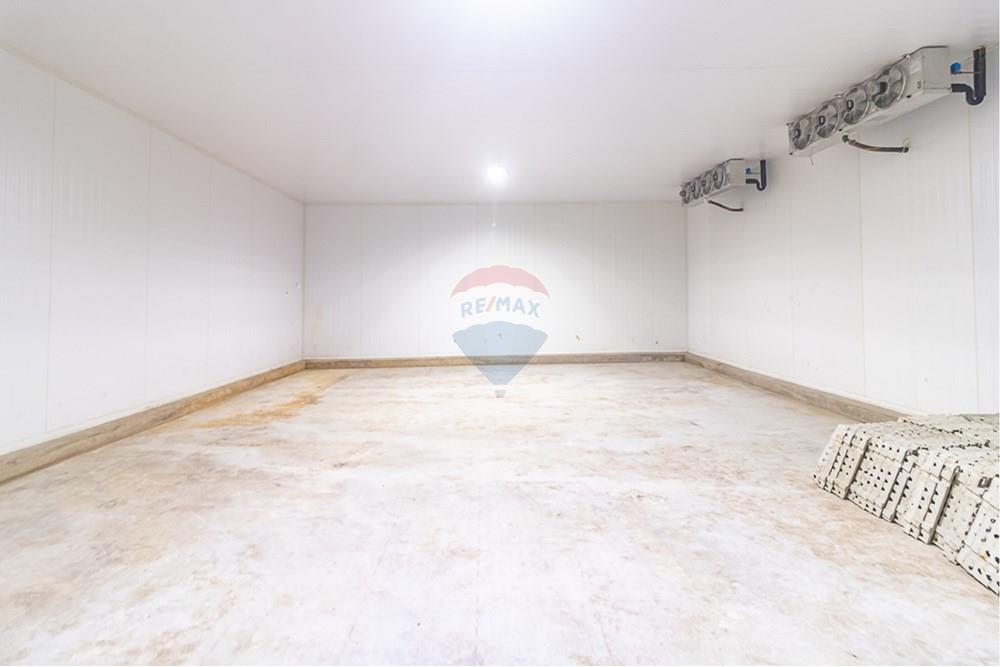 Galpão - Venda - Distrito de Icoaraci , Pará - IMG_5819.jpg - 720921067-61