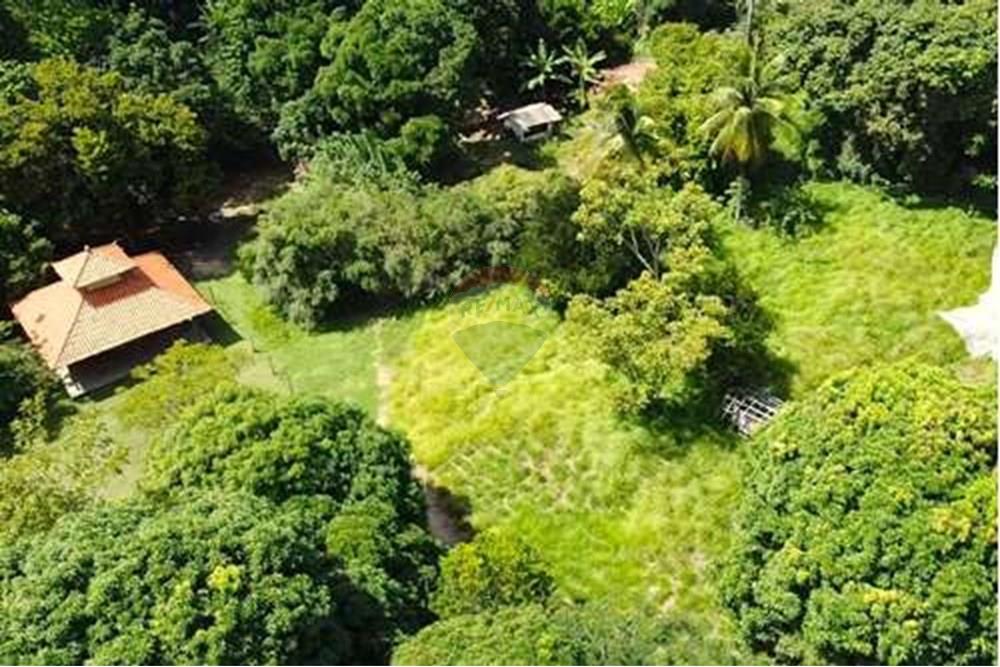 Chácara / Sítio / Fazenda - Venda - Conde , Paraíba - L_229d143d-579e-4991-a1d3-77e2b7e74747.jpg - 722011055-33