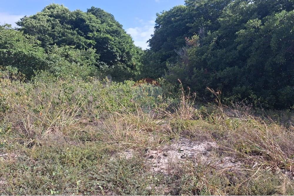 Terreno - Venda - Conde , Paraíba - 677337c6-77f9-4be8-8579-fa0c197a26e4.jpeg - 720871044-69