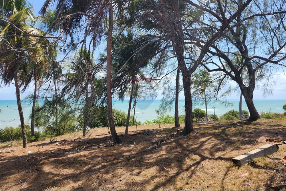 Terreno - Venda - Maxaranguape , Rio Grande do Norte - 20241016_093501.jpg - 720891155-334