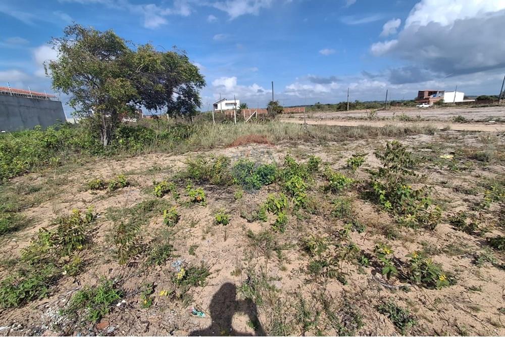 Terreno - Venda - Conde , Paraíba - a6f0702b-ea1c-46e3-81df-bba53469fbe6.jpeg - 720871044-38