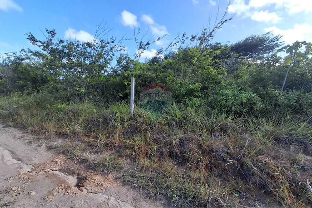 Terreno - Venda - Pitimbu , Paraíba - 87417e12-2889-4e59-b7b4-1351e53841d3.jpg - 720871044-59