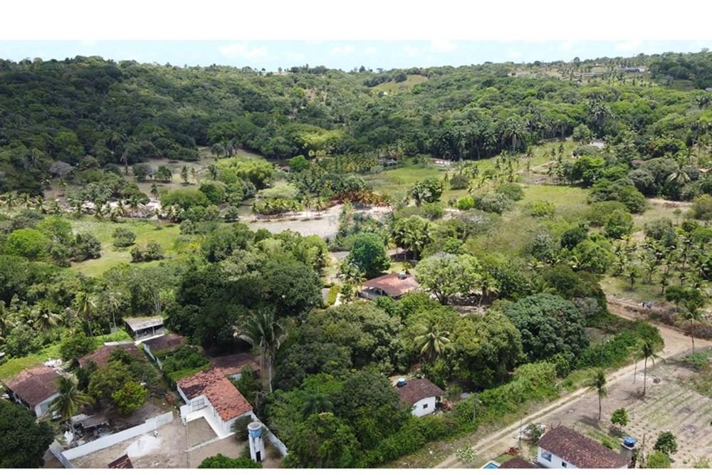 Chácara / Sítio / Fazenda - Venda - Conde , Paraíba - DJI_0267.JPG - 720871004-216