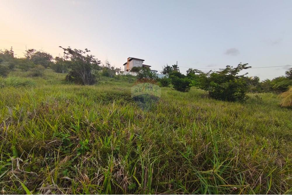 Terreno - Venda - Pitimbu , Paraíba - 20be117e-e244-4096-9ef9-b81a17ceb223.jpg - 720871056-19