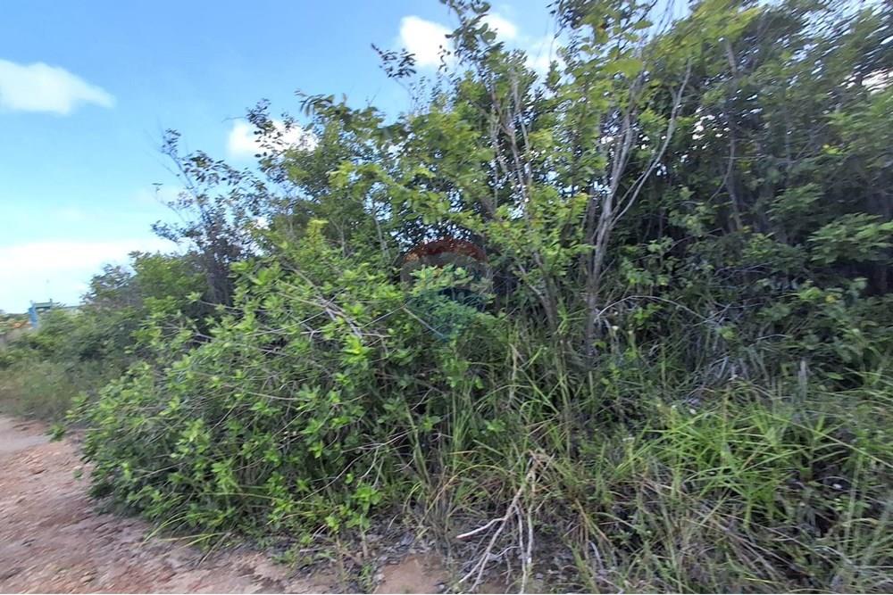 Terreno - Venda - Pitimbu , Paraíba - 823d27fa-84d1-437d-aa5d-89b18f0db9ae (1).jpg - 720871044-59