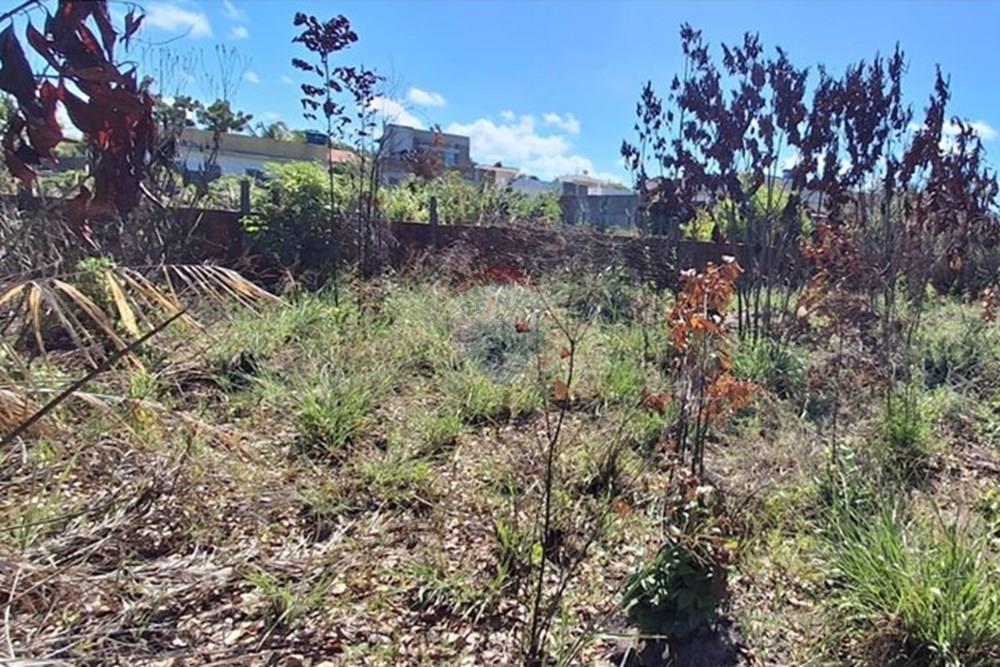 Terreno - Venda - Conde , Paraíba - b175ba62-9aa2-425b-b7a5-07ec49b6ed4c.jpeg - 720871044-68