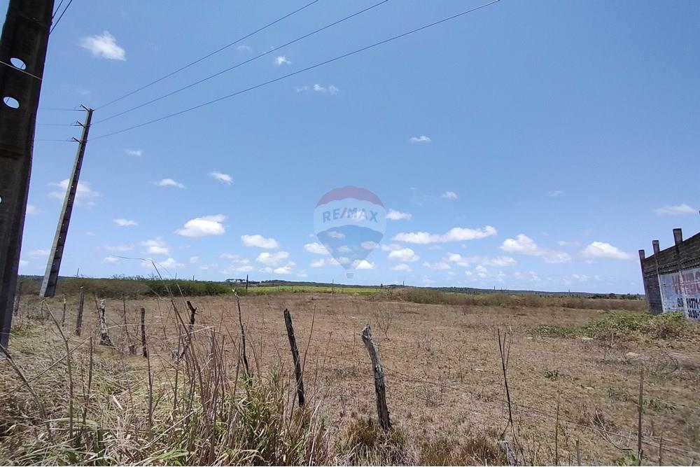 Terreno - Alugar - São José de Mipibu , Rio Grande do Norte - WhatsApp Image 2024-10-07 at 08.39.02 (1).jpeg - 720891134-413