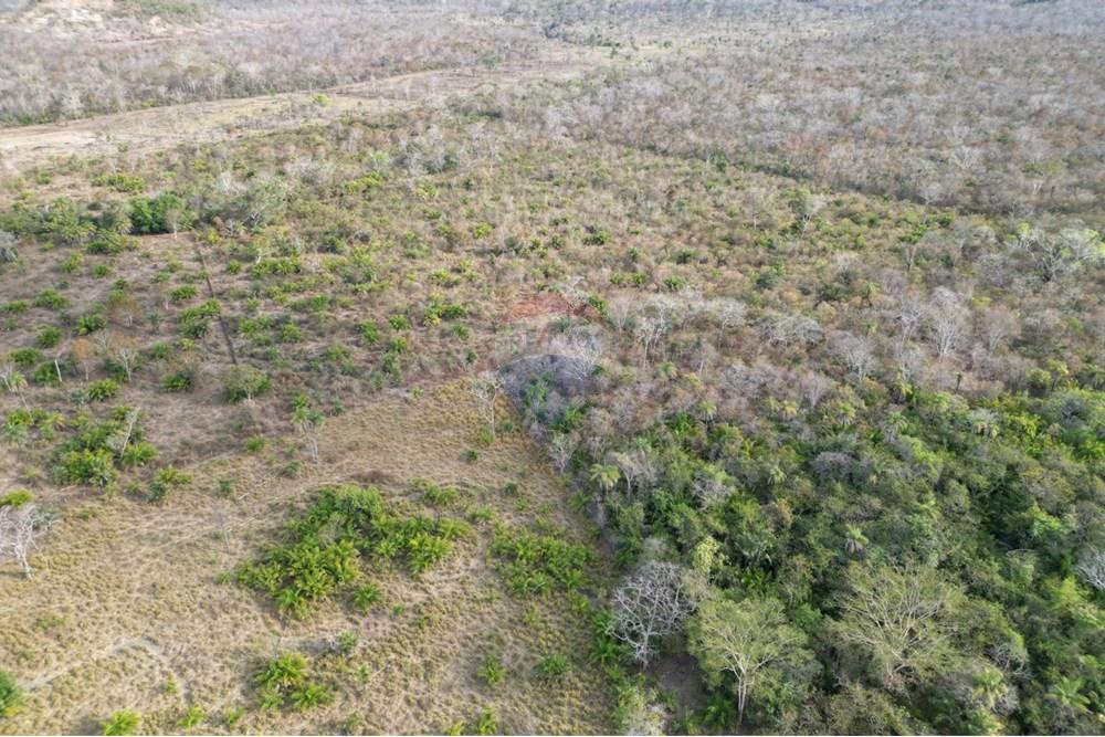 Agro - Venda - Barra do Ouro , Tocantins - WhatsApp Image 2025-08-28 at 17.47.51.jpeg - 720991042-5