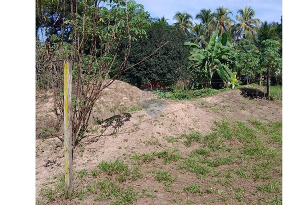 Chácara / Sítio / Fazenda - Venda - Rondonópolis , Mato Grosso - WhatsApp Image 2025-05-12 at 16.32.18 (10).jpeg - 720611007-91