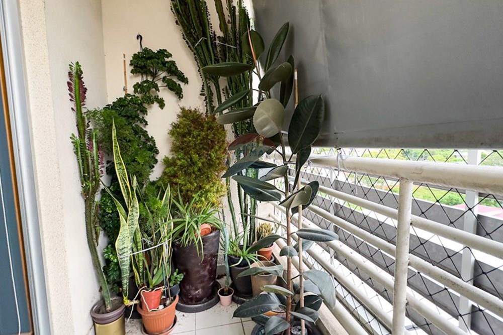 Apartamento - Venda - Manaus , Amazonas - IMG_2838.jpeg - 720721103-2