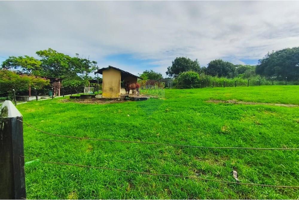 Terreno - Venda - Conde , Paraíba - d51e6ac9-9602-40cf-b48e-fd8bcadd03b0.jpg - 720871056-25