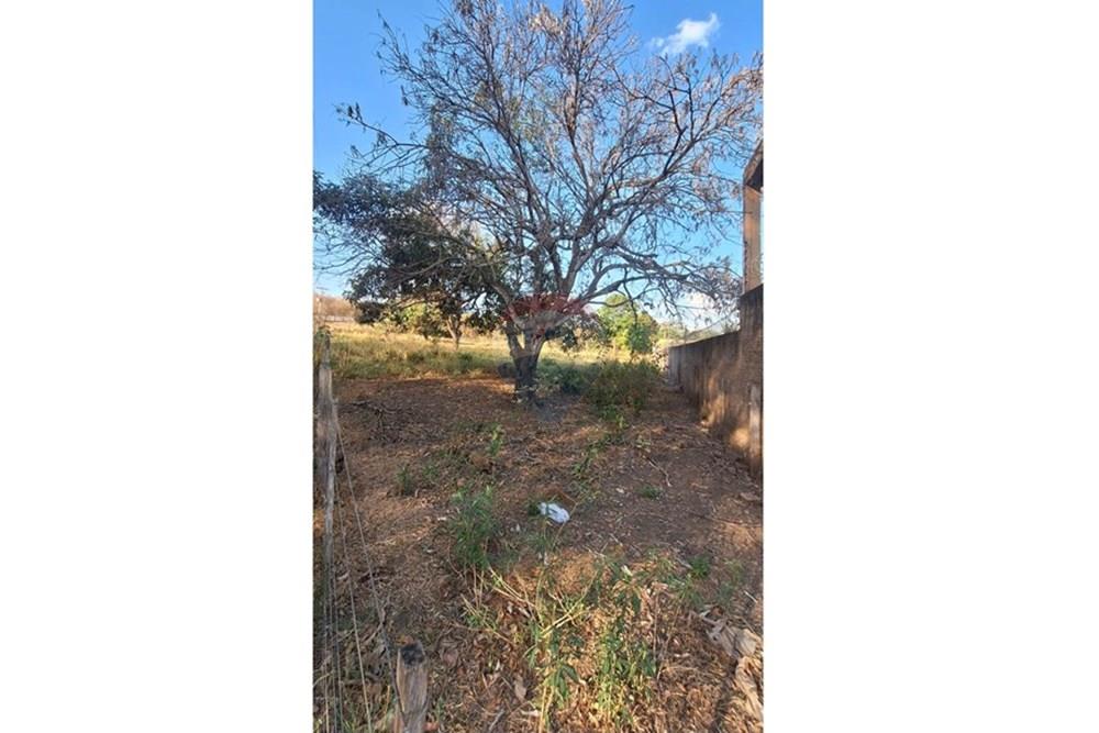 Terreno - Venda - Rondonópolis , Mato Grosso - IMG-20250830-WA0051.jpg - 721981068-5