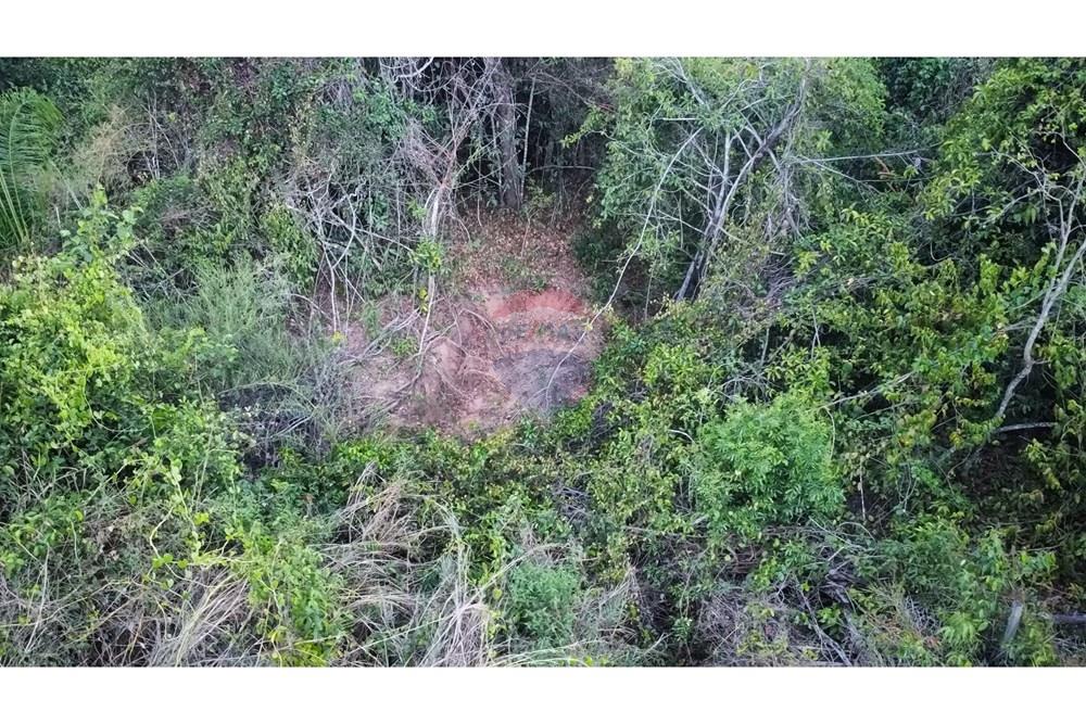 Chácara / Sítio / Fazenda - Venda - Água Boa , Mato Grosso - dji_fly_20251010_183024_140_1760131835208_photo_optimized.jpg - 722211004-26