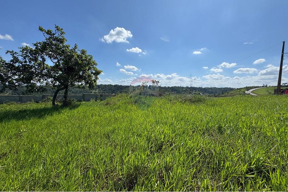 Terreno - Venda - Bananeiras , Paraíba - WhatsApp Image 2025-01-22 at 09.47.10 (8).jpeg - 720551002-74