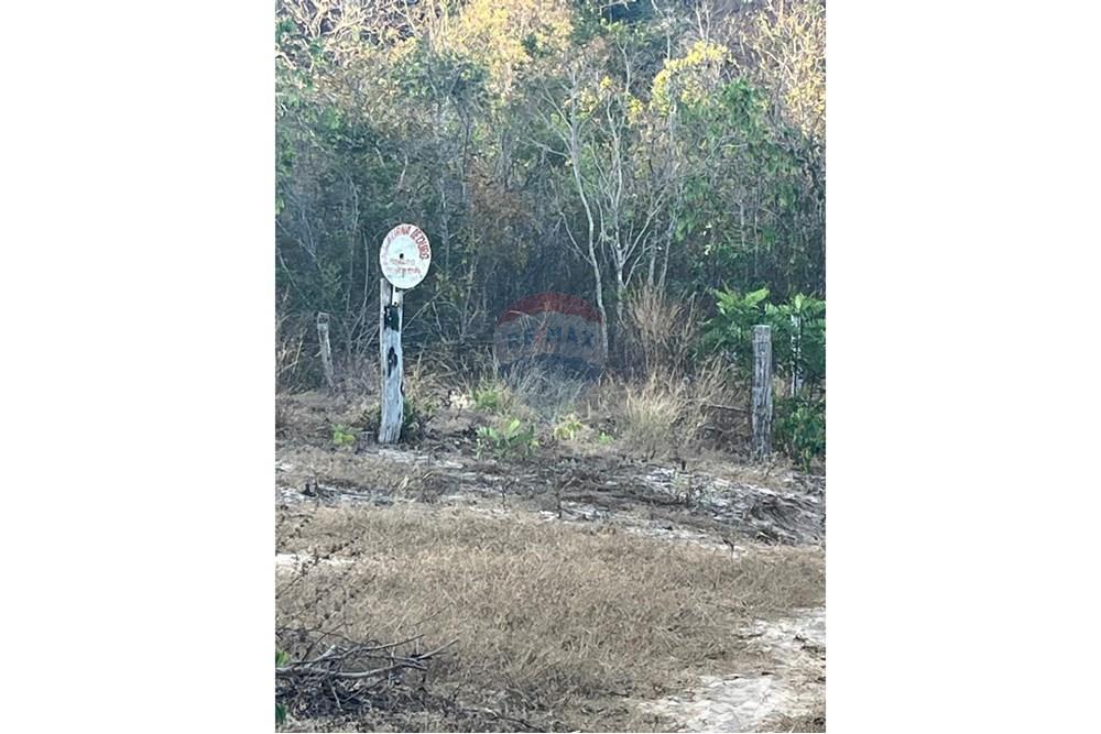 Chácara / Sítio / Fazenda - Venda - Poxoréu , Mato Grosso - WhatsApp Image 2025-02-13 at 18.48.21.jpeg - Fachada - 720611061-6