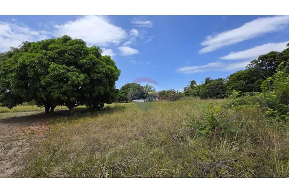 Terreno - Venda - Conde , Paraíba - 58f6dd7d-e56b-44f7-9c91-4062cfad241f.jpg - 720871061-11