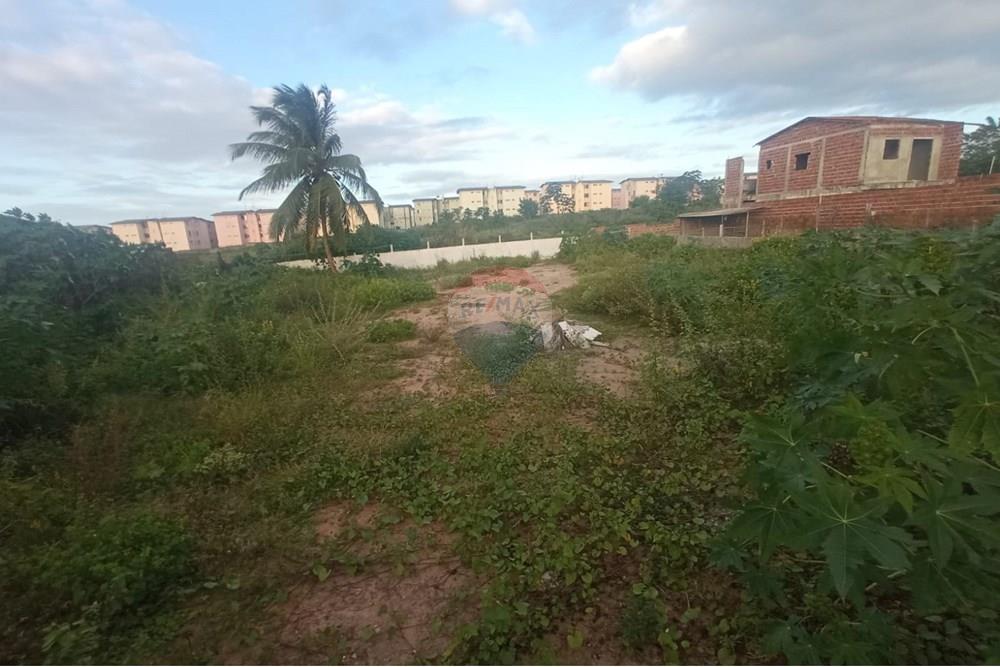 Terreno - Venda - Parnamirim , Rio Grande do Norte - WhatsApp Image 2025-08-04 at 09.58.58 (5).jpeg - 720731041-11