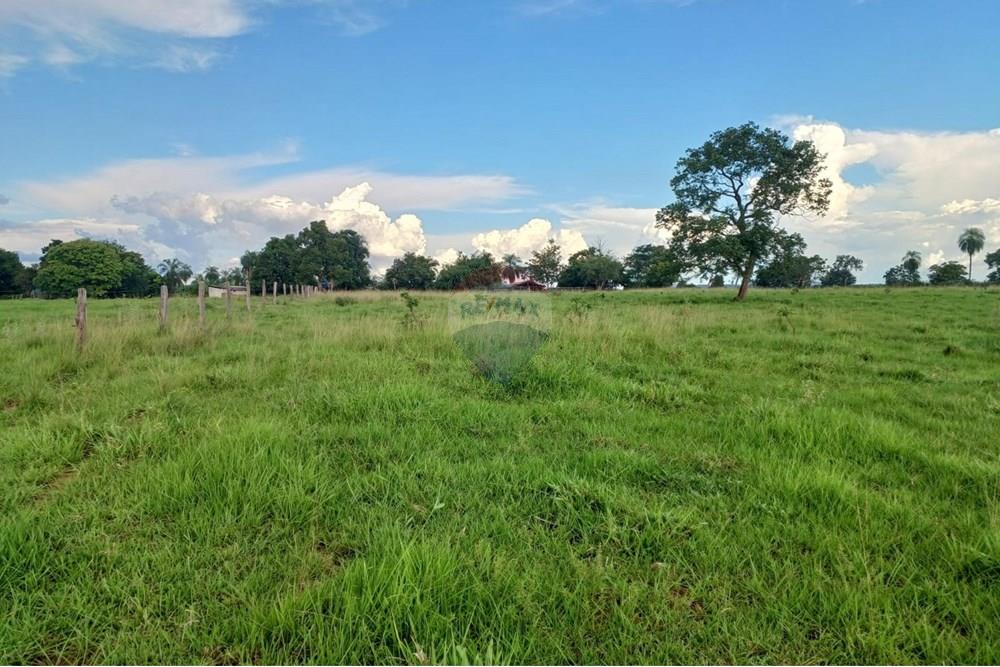 Chácara / Sítio / Fazenda - Venda - São José do Povo , Mato Grosso - WhatsApp Image 2025-04-03 at 17.01.54 (1).jpeg - 722261017-2