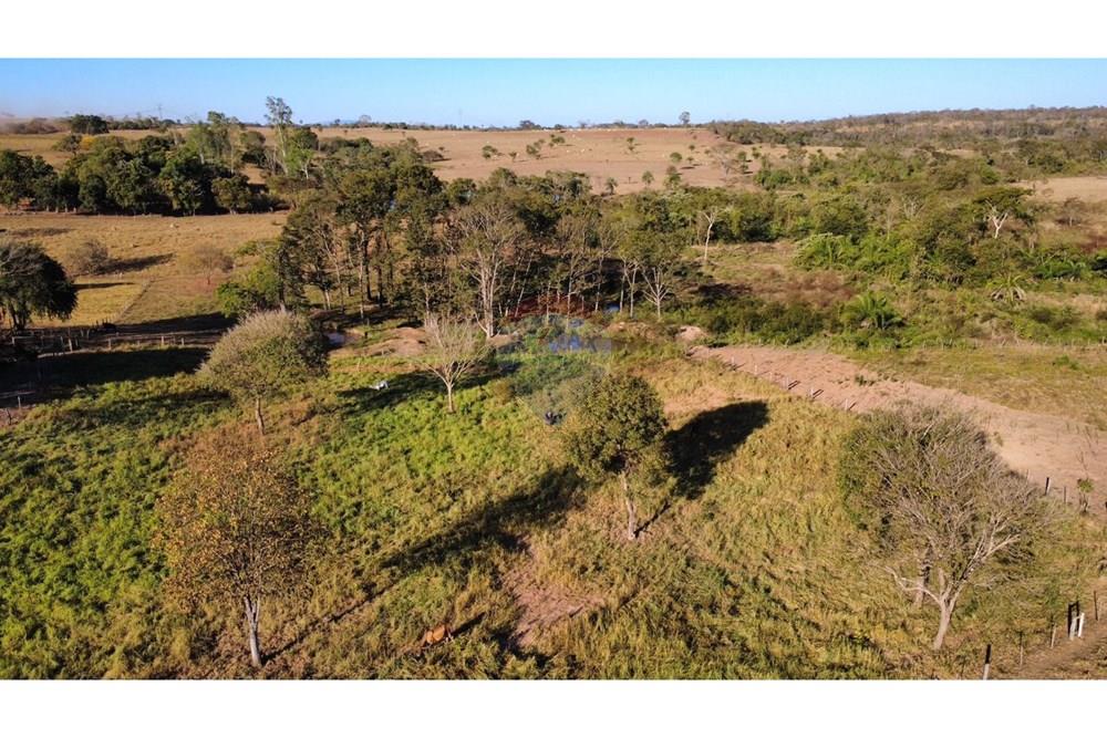 Chácara / Sítio / Fazenda - Venda - Rondonópolis , Mato Grosso - WhatsApp Image 2025-08-16 at 20.50.02.jpeg - 720561081-77