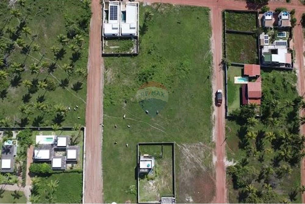 Terreno - Venda - São Miguel do Gostoso , Rio Grande do Norte - Imagem do WhatsApp de 2025-01-13 à(s) 00.05.46_e99a89aa.jpg - 720891024-166