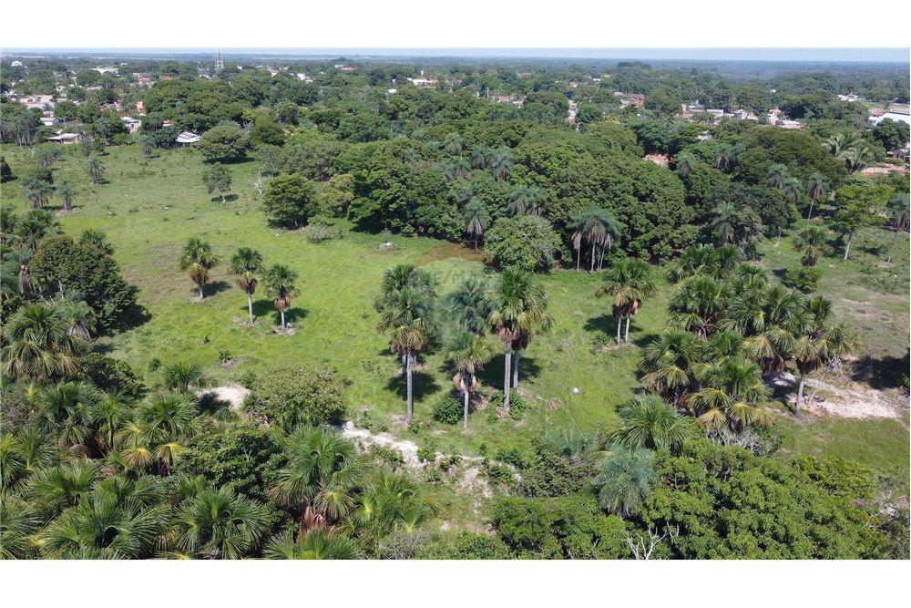 Chácara / Sítio / Fazenda - Venda - Porto Alegre do Norte , Mato Grosso - 19 - 720641031-14