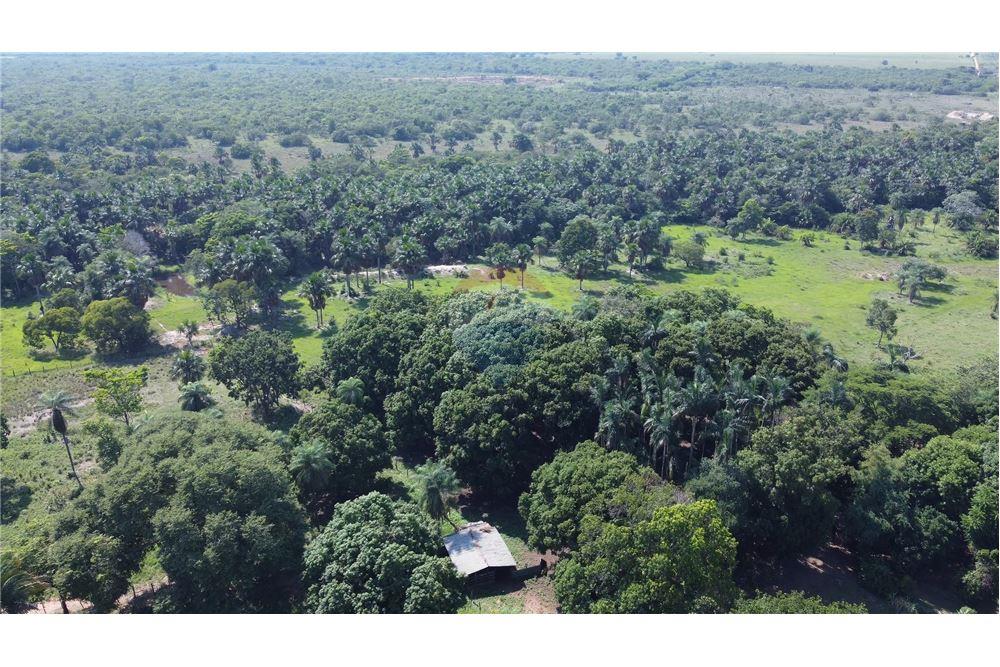 Chácara / Sítio / Fazenda - Venda - Porto Alegre do Norte , Mato Grosso - 8 - 720641031-14