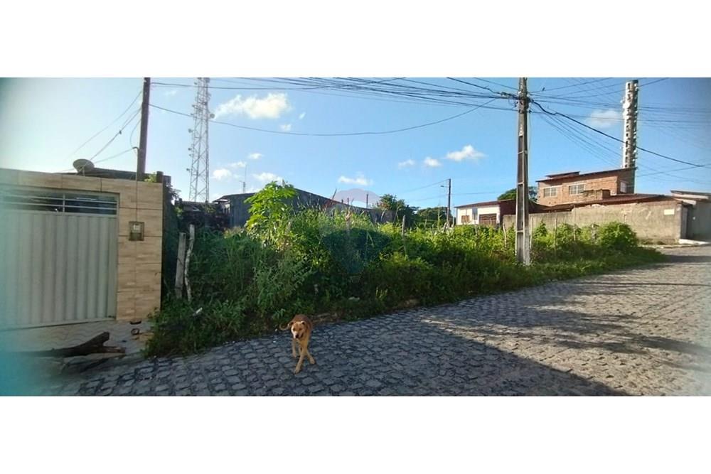Terreno - Venda - Natal , Rio Grande do Norte - WhatsApp Image 2025-07-27 at 13.54.20 (3).jpeg - 720891003-88