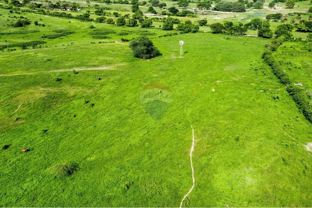 Chácara / Sítio / Fazenda - Venda - Riachão do Bacamarte , Paraíba - dji_fly_20250215_150920_489_1739642992615_photo_optimized.jpg - 722011055-39