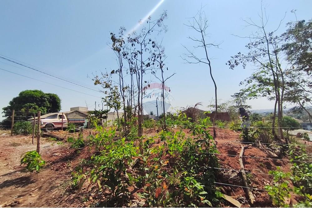 Terreno - Venda - Rondonópolis , Mato Grosso - IMG_20250912_092615.jpg - 722261012-13