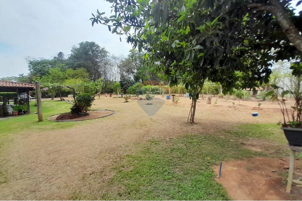 Chácara / Sítio / Fazenda - Venda - Nova Veneza , Goiás - WhatsApp Image 2025-10-08 at 10.28.09 (1).jpeg - 722271015-32