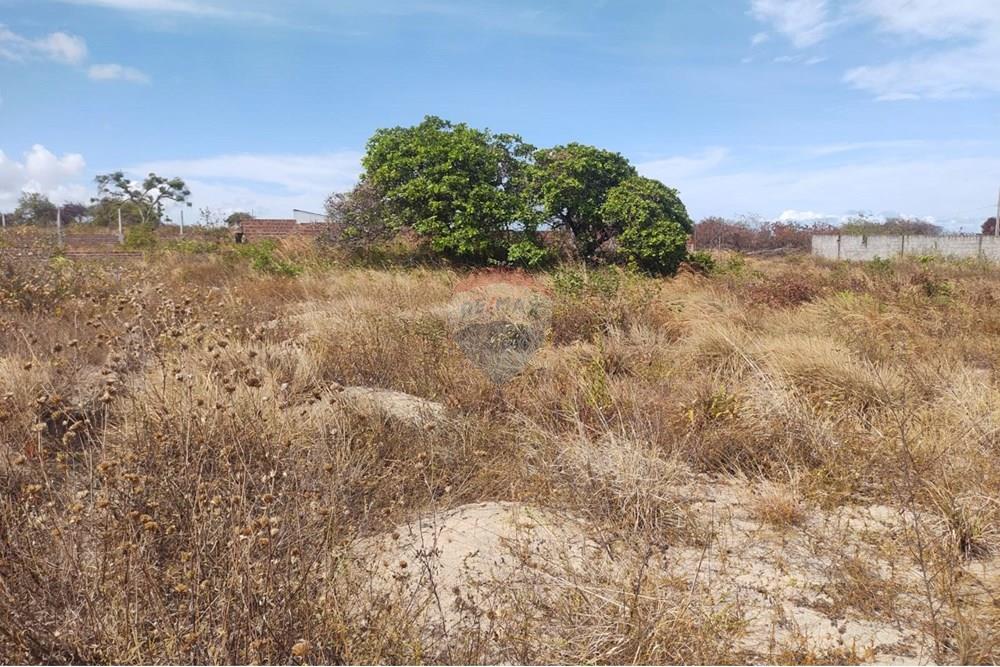 Terreno - Venda - Conde , Paraíba - WhatsApp Image 2024-12-05 at 21.40.53.jpeg - 720871031-83