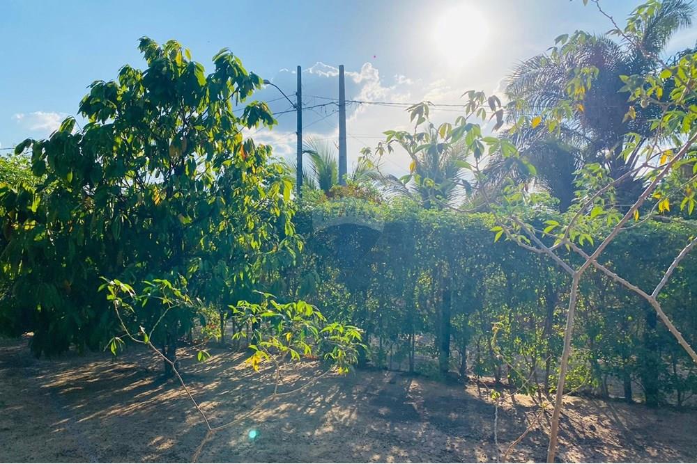 Chácara / Sítio / Fazenda - Venda - Parauapebas , Pará - IMG-20250908-WA0122.jpg - 722021013-13