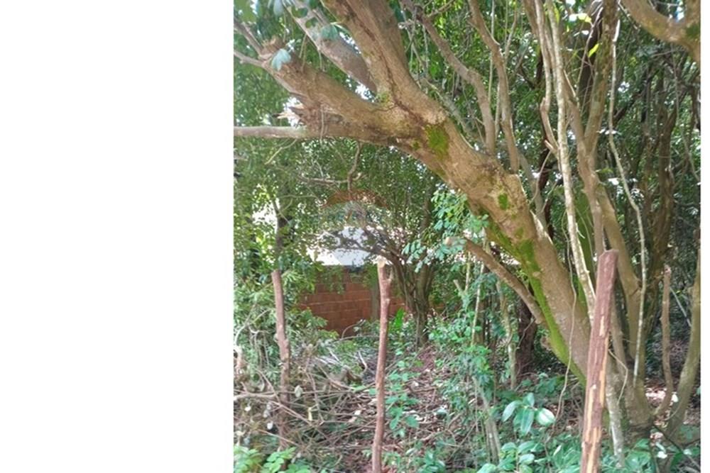 Terreno - Venda - Tibau do Sul , Rio Grande do Norte - Gustavo17.jpeg - 720891150-75