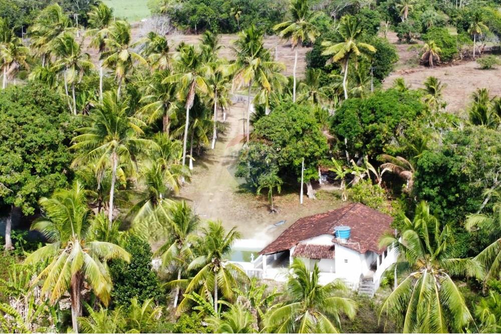 Chácara / Sítio / Fazenda - Venda - Conde , Paraíba - dji_fly_20250123_143246_400_1737653572340_photo_optimized1.jpg - 722011055-36