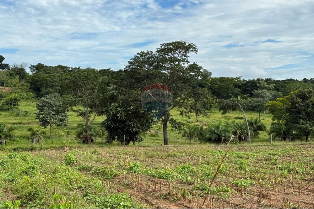 Chácara / Sítio / Fazenda - Venda - São José do Povo , Mato Grosso - IMG-20250407-WA0063.jpg - 720851027-112