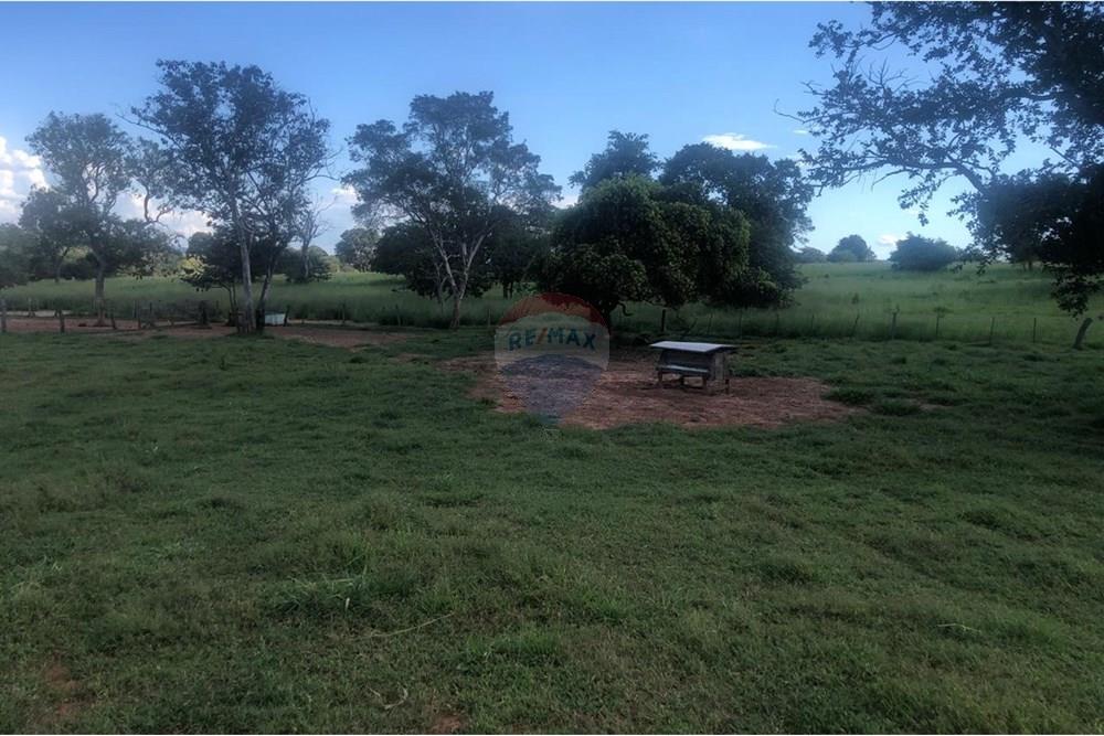 Fazenda - Venda - Guiratinga , Mato Grosso - IMG-20250812-WA0124.jpg - 721981068-2