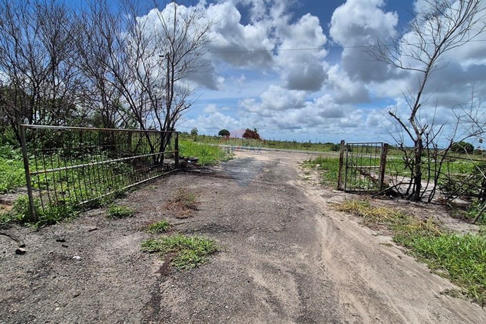 Galpão - Venda - Pedras de Fogo , Paraíba - 20250207_102927.jpg - 722011055-41