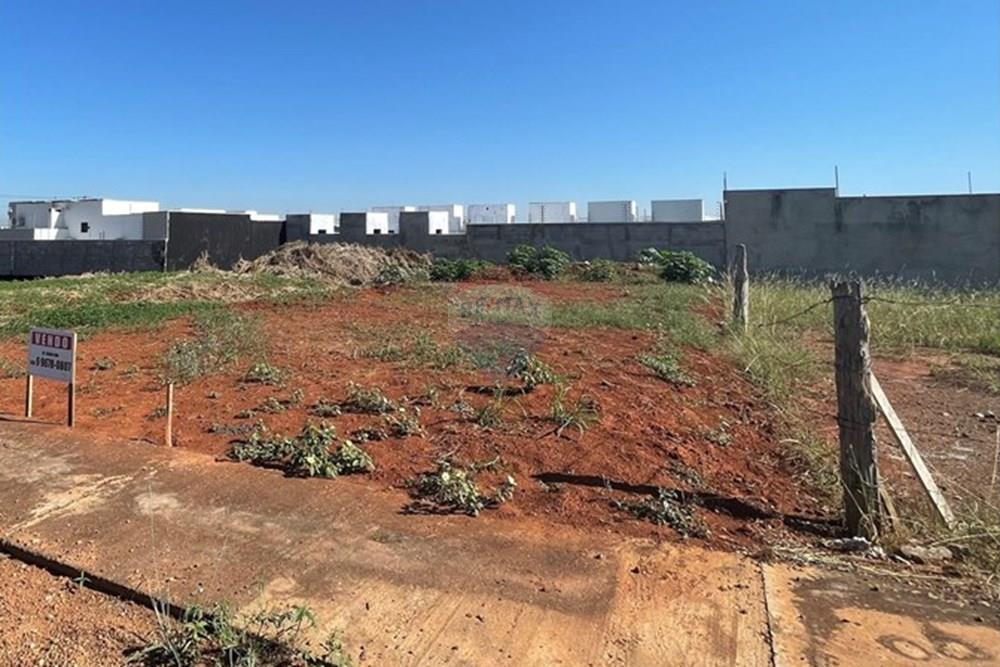 Terreno - Venda - Rondonópolis , Mato Grosso - IMG_3212.jpg - 722261018-1