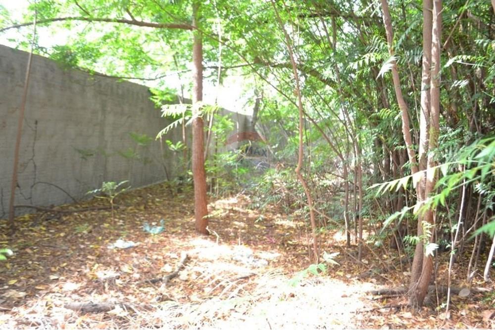 Terreno - Venda - Fortaleza , Ceará - WhatsApp Image 2025-10-01 at 09.56.36 (1).jpeg - 720971021-111