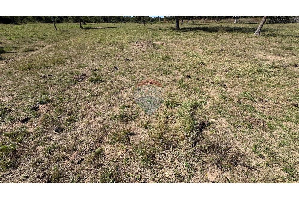 Fazenda - Venda - Santo Antônio do Leverger , Mato Grosso - ce12f8fc-3f69-4f89-883b-9a1f7d1ed6c5.jpeg - 720611035-41