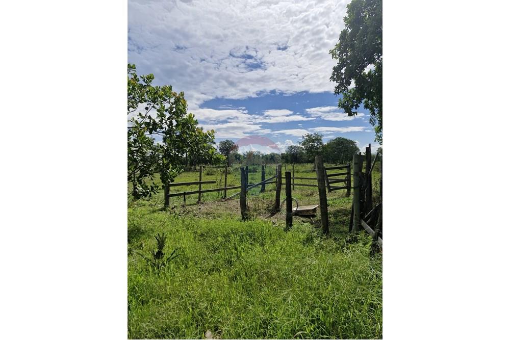 Chácara / Sítio / Fazenda - Venda - Barra do Garças , Mato Grosso - WhatsApp Image 2024-11-27 at 21.08.20.jpeg - 722221026-15