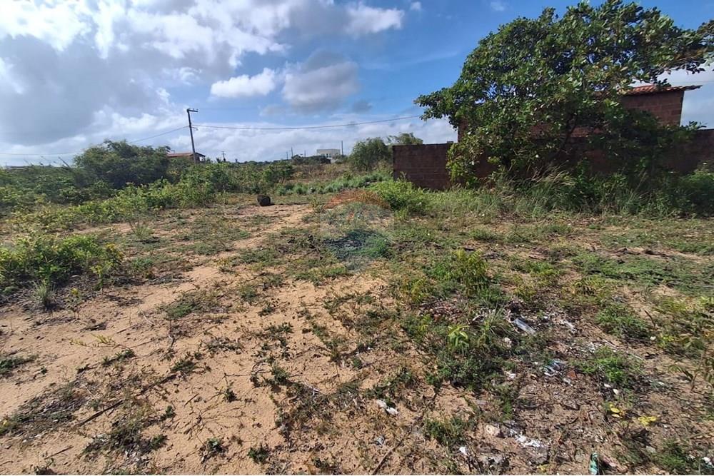 Terreno - Venda - Conde , Paraíba - e6fcdb36-5537-4636-96a2-100a7e85205d.jpeg - 720871044-38