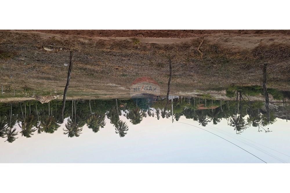 Terreno - Venda - Trairi , Ceará - 1000193881.jpg - 722341001-102