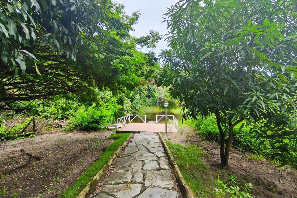 Terreno - Venda - Conde , Paraíba - 3cd44179-e5ac-4321-984f-a7d7c4947bad.jpg - 720871056-15