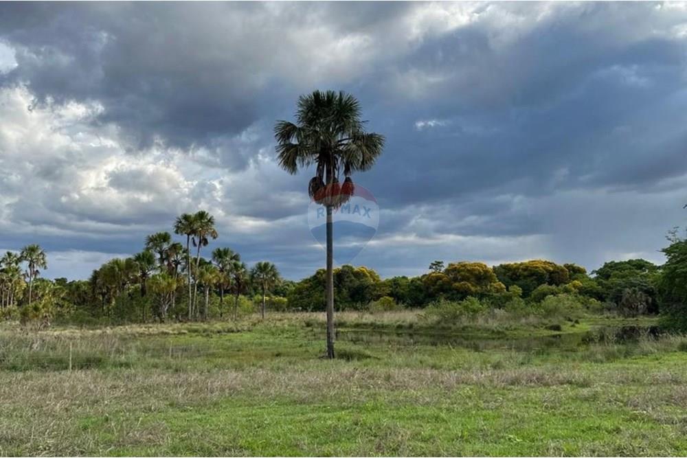 Chácara / Sítio / Fazenda - Venda - Rio Verde , Goiás - 11.jpg - 722291014-34